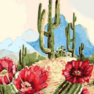 Desert Cactus Blooms – Paint by Numbers DIY Kit for Adults & Teens